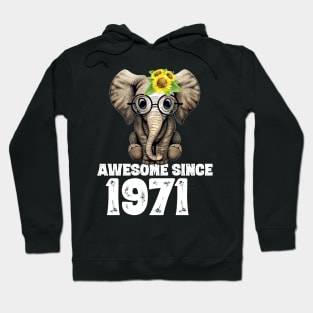 Awesome since 1971 49 Years Old Bday Gift 49th Birthday Hoodie